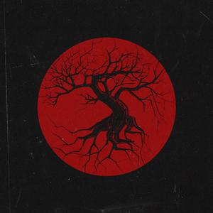 印度一级特黄AAAAA片
