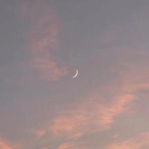 印度一级特黄AAAAA片
