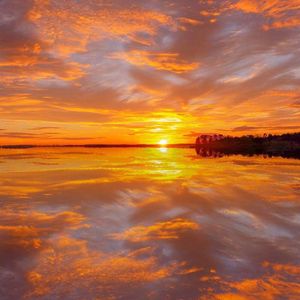 印度一级特黄AAAAA片
